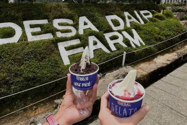 4D3N Full Sabah Immersion: Scenic Kundasang Highlands, Island Hopping & Cultural Experience