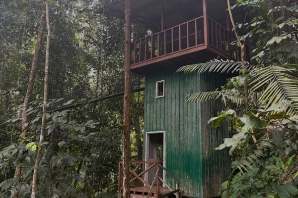 5D4N Kundasang Glamping to Water Fun– Epic Highlands, Islands & River Cruise Experience