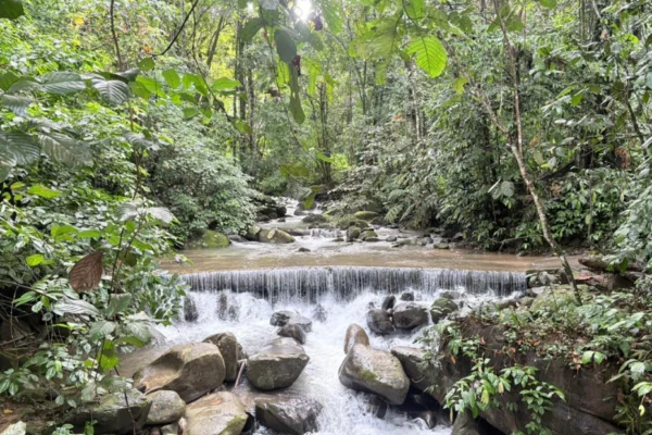 3D2N Sabahan Cultural Experience — Discover Heritage, Traditions & Authentic Local Life