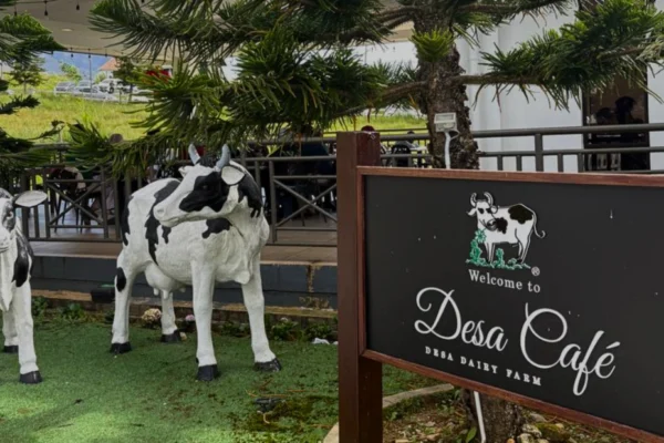 4D3N Sabah Leisure Tour – Relaxing Cool Highlands, Local Culture & City Comfort