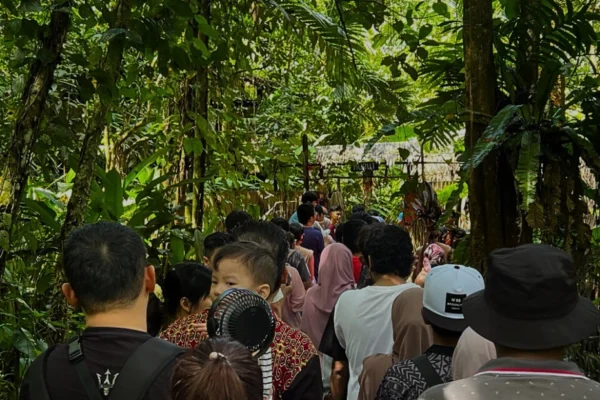 4D3N Sabah Leisure Tour – Relaxing Cool Highlands, Local Culture & City Comfort
