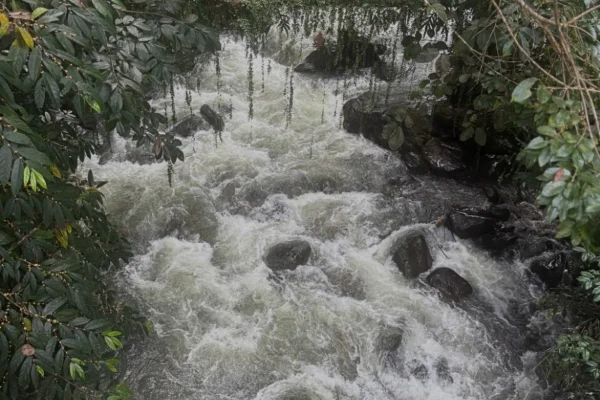 5D4N Kundasang Glamping to Water Fun– Epic Highlands, Islands & River Cruise Experience