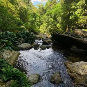 waterfall-kipungit