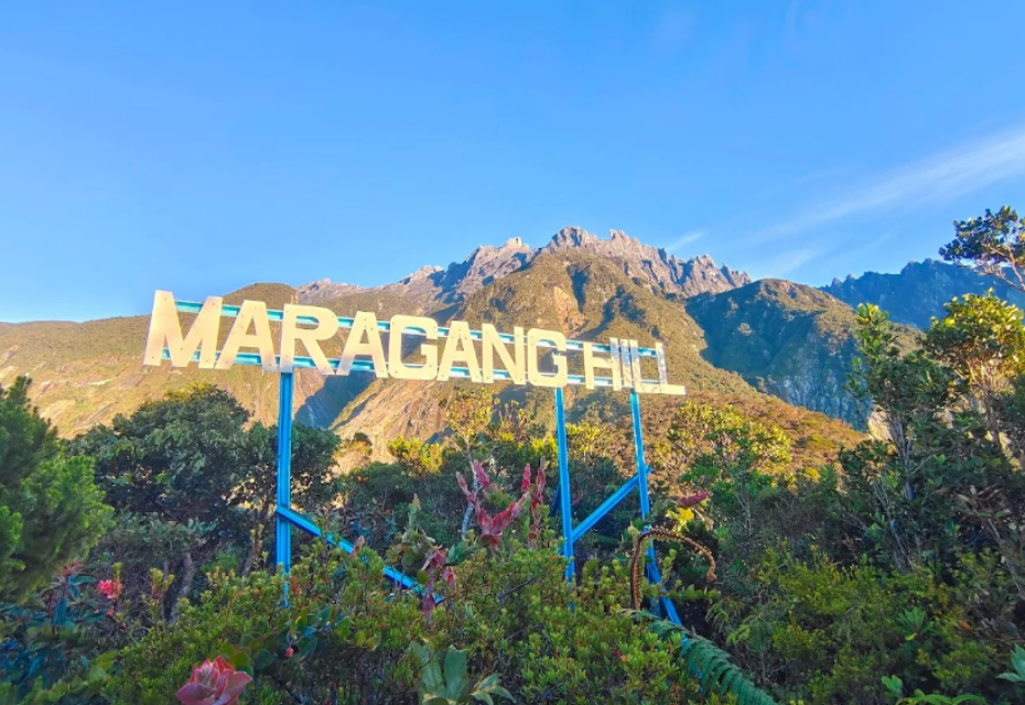 Breathtaking view from Maragang Hill in Kundasang, with Mount Kinabalu as the perfect backdrop. A must-visit hiking spot in Sabah.