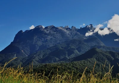 Top 12 Best Things to Do in Kundasang