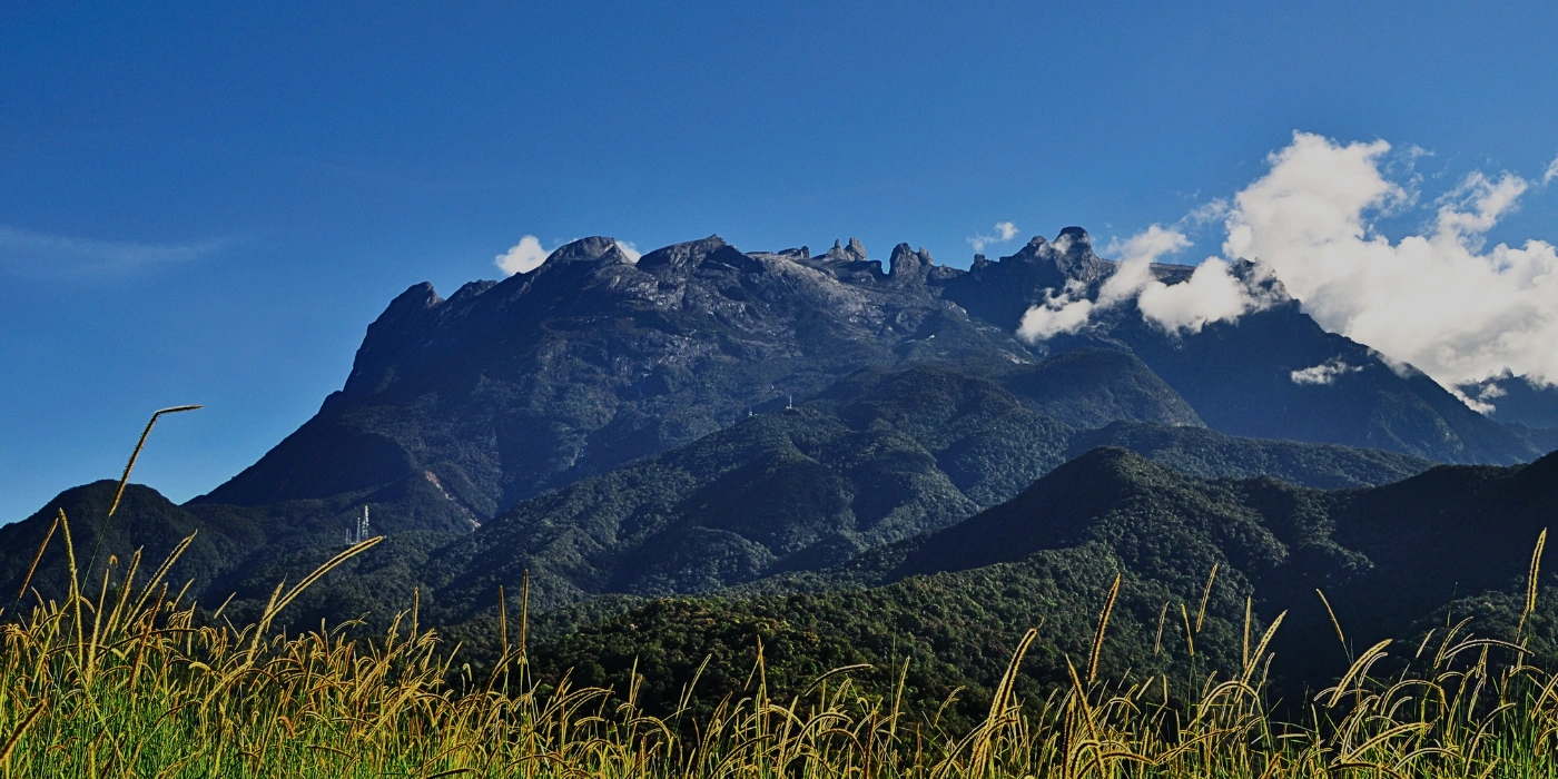 Mount Kinabalu rising in the background behind lush green paddy fields- best things to do in kundasang