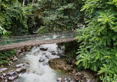 Poring Hot Spring Guide: Incredible Canopy Walks, Waterfalls & Sulphur Baths