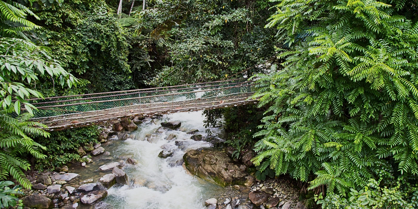 A suspension bridge hanging over a gushing river at Poring Hot Spring, surrounded by lush forest.