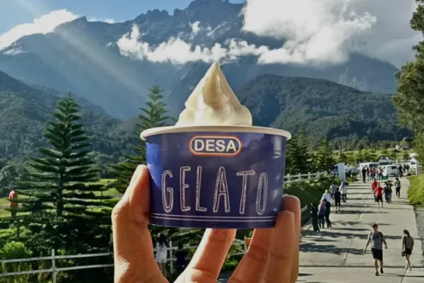 Kundasang Day Tour from Kota Kinabalu – Mount Kinabalu & Desa Dairy Farm