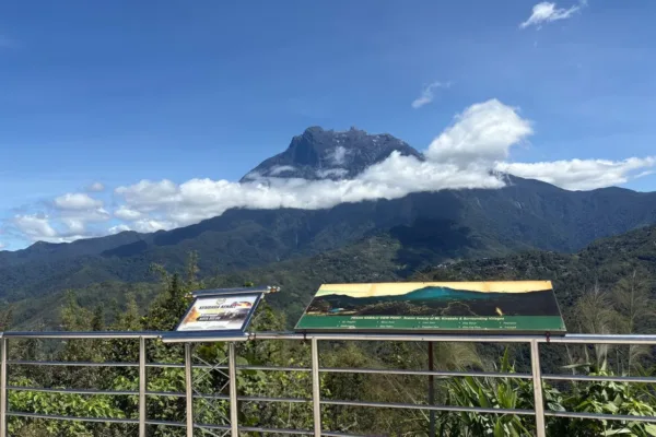 Kundasang Day Tour from Kota Kinabalu – Mount Kinabalu & Desa Dairy Farm