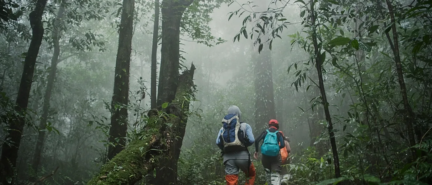 Visitors trekking through the lush green jungle trails