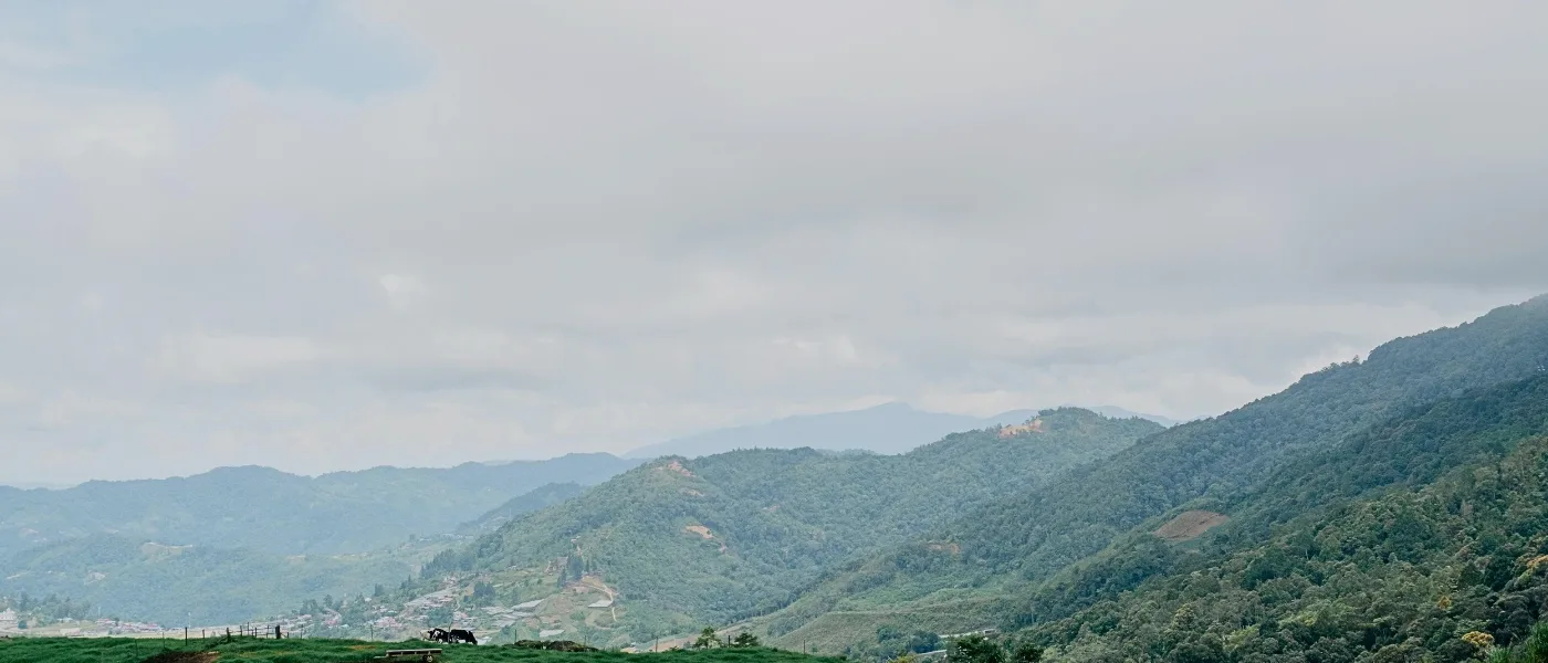 Misty highland scenery in Kundasang, Sabah, creating a cozy atmosphere for café hopping