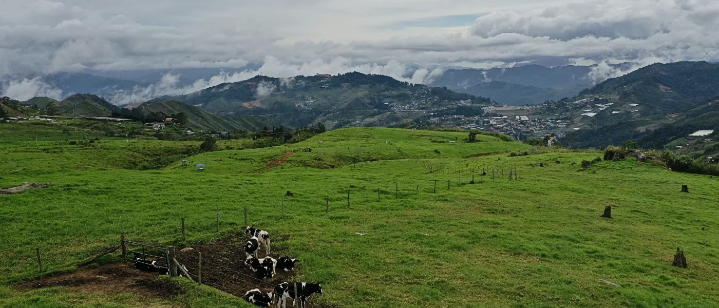 Foggy highlands of Kundasang, Sabah, featuring dense clouds and Mt. Kinabalu