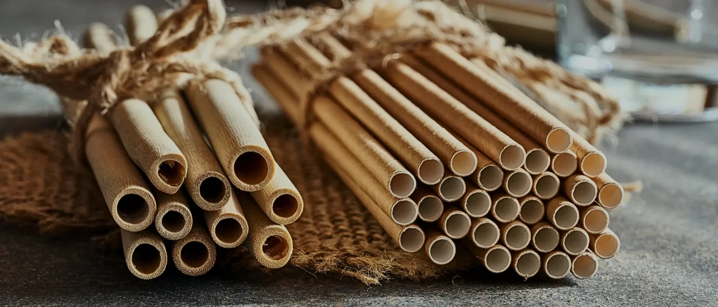 Set of bamboo straws, sustainable and eco-friendly souvenirs from Kundasang