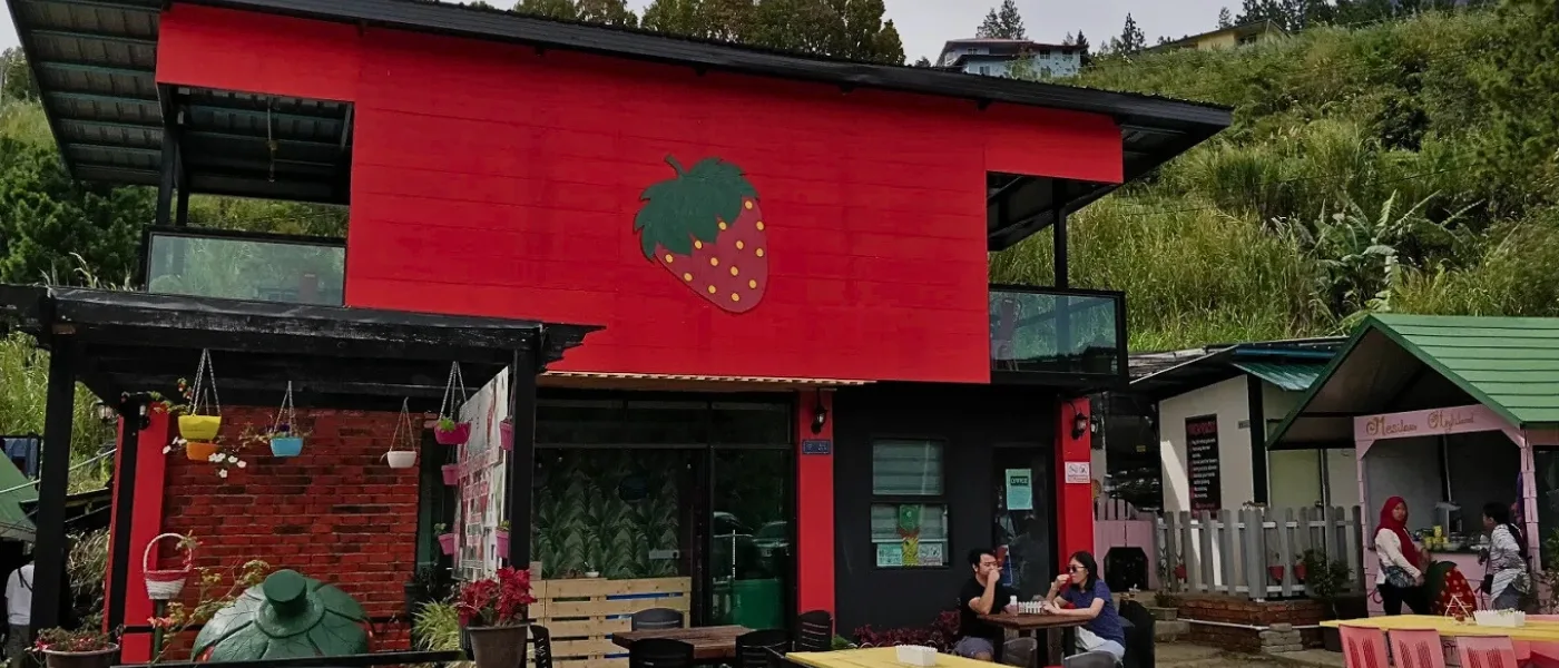 Mesilou Highland Strawberry Farm Exterior