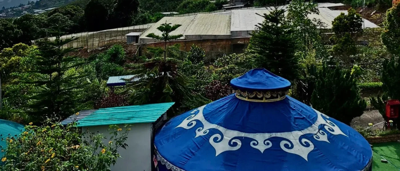 Mongolian Yurt – Unique Glamping Experience in Kundasang Mongolian-style yurt glamping tent in Kundasang with surrounding greenery and mountain scenery