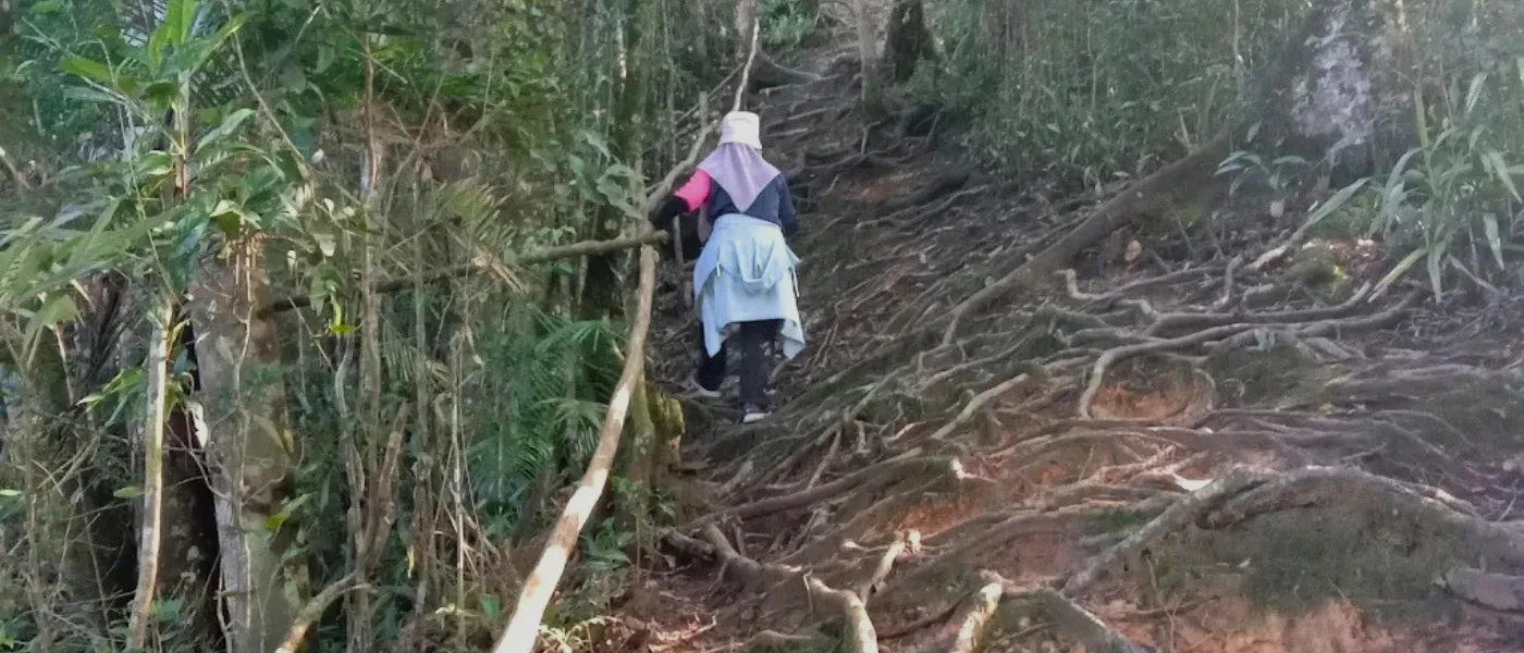 Woman grasping tree branches while hiking the steep incline of Aki Aki Hill trail in Kundasang