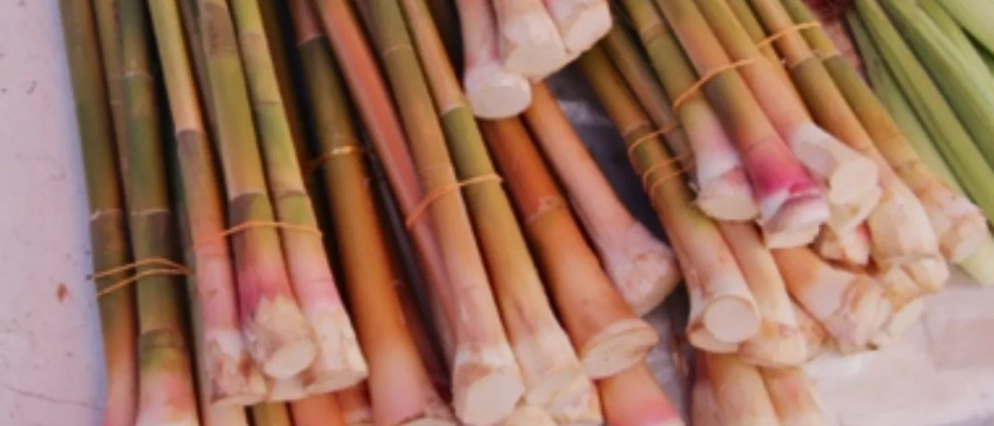 Tuhau, a traditional Kadazan-Dusun local product from Kundasang