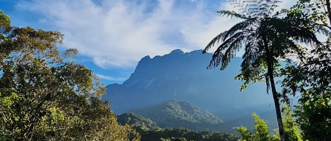 Silhouette of Mount Kinabalu with lush forest in the foreground at Kinabalu Park.