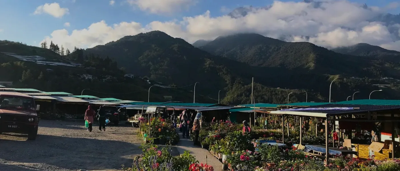 Wide view of Kundasang market, showcasing local stalls, fresh produce and Mt. Kinabalu at the back