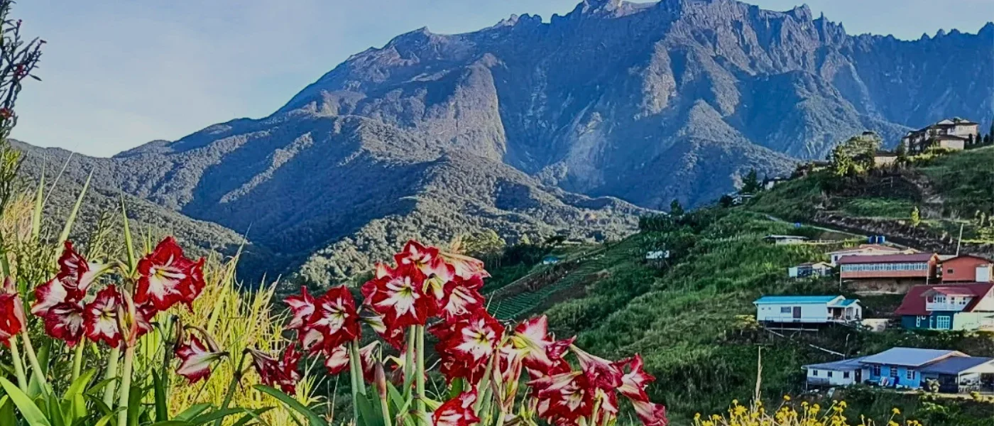 Clear Morning View of Mount Kinabalu Mount Kinabalu clearly visible in the early morning light with soft skies and minimal cloud cover