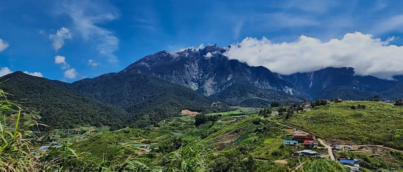 Sunny Day View of Mount Kinabalu and Green Landscape Mount Kinabalu under a clear blue sky with green fields in the foreground on a sunny day