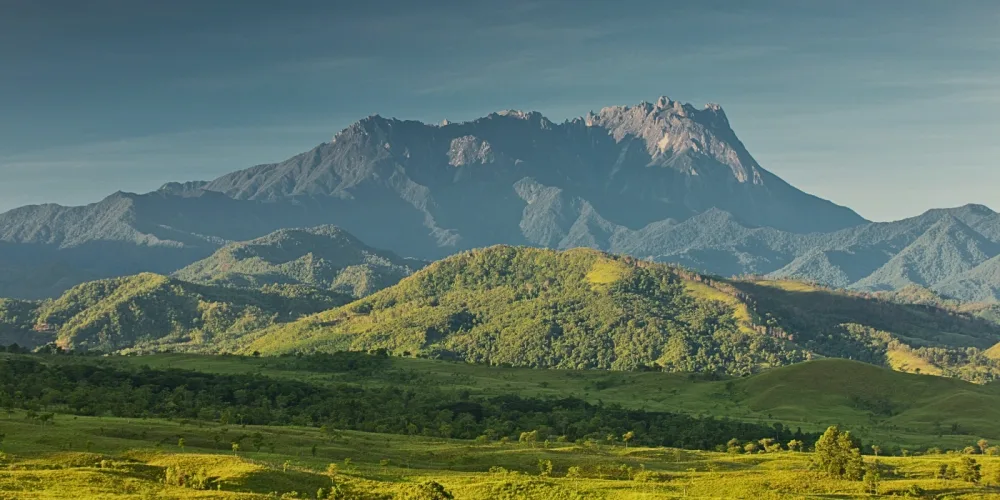 Mount Kinabalu towering in the distance with lush green grass in the foreground, seen from Kundasang.
