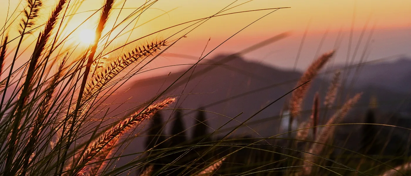 Sunset view over the highlands of Kundasang