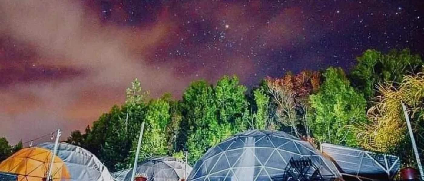 Starry night sky above Umea Glamp in Kundasang.